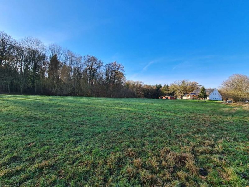 Einfamilienhaus in Einzellage in unmittelbarer Stadtnähe