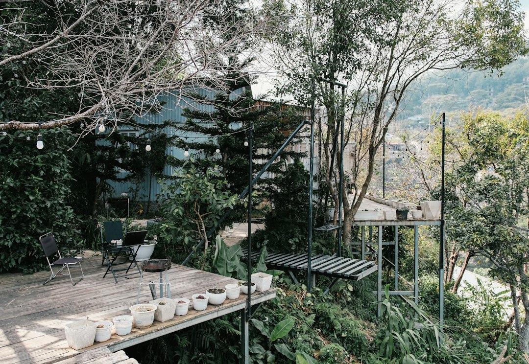 Musterbild einer begrünten Terrasse