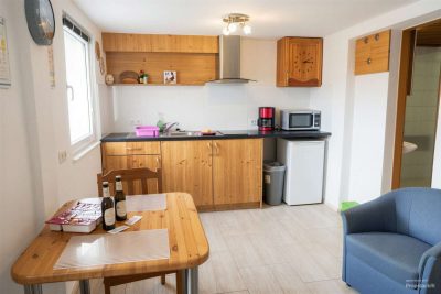 Großzügige Wohnung mit Gewerbefläche & Gästehaus – 4.000–5.000 € Mieteinnahmen monatlich