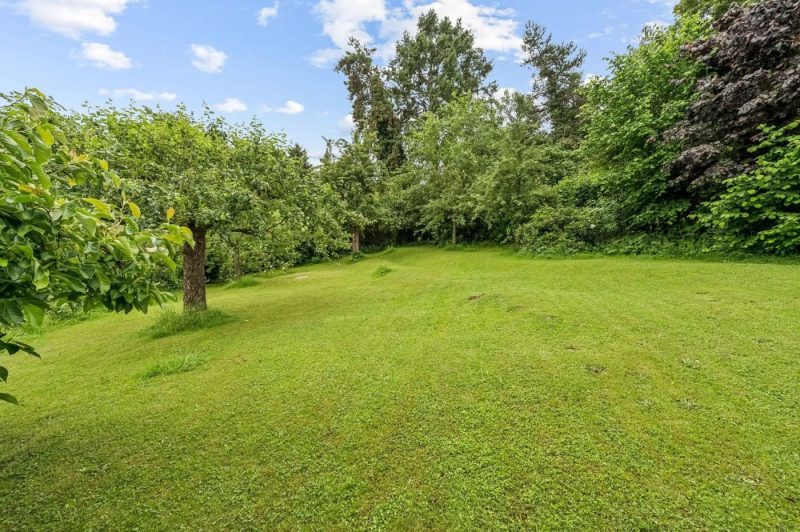 Gepflegte Souterrainwohnung mit Terrasse und Gartenzugang in Alfter-Ort – bezugsfrei